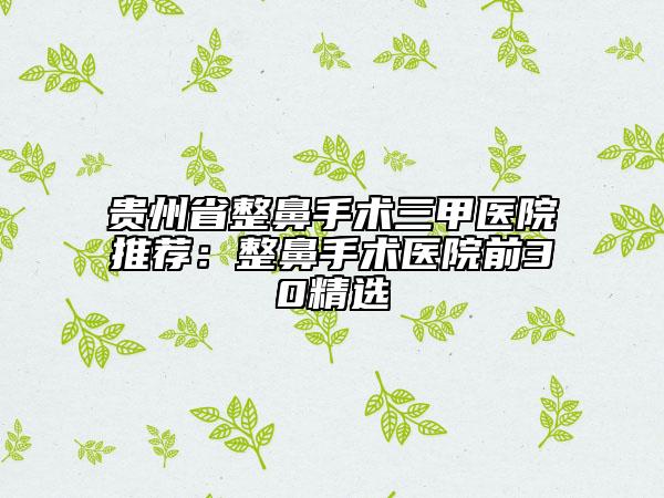贵州省整鼻手术三甲医院推荐：整鼻手术医院前30精选