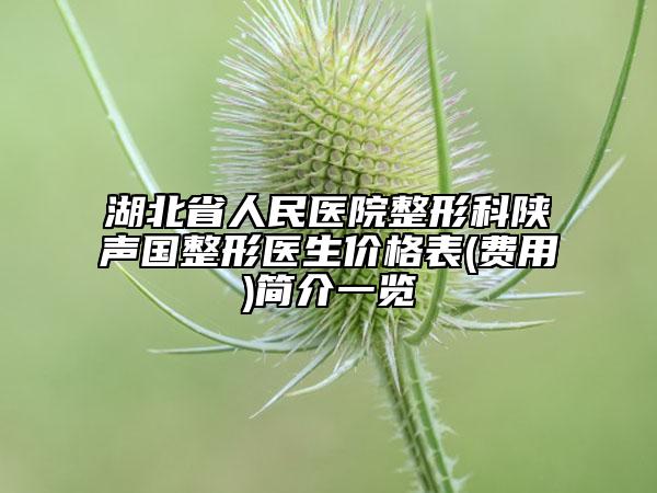 湖北省人民医院整形科陕声国整形医生价格表(费用)简介一览