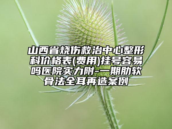 山西省烧伤救治中心整形科价格表(费用)挂号容易吗医院实力附-一期肋软骨法全耳再造案例