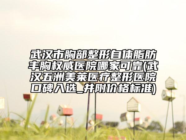 武汉市胸部整形自体脂肪丰胸权威医院哪家可靠(武汉五洲美莱医疗整形医院口碑入选_并附价格标准)