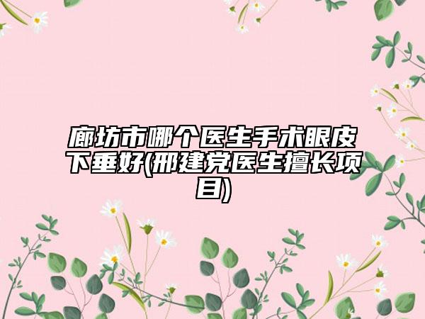 廊坊市哪个医生手术眼皮下垂好(邢建党医生擅长项目)