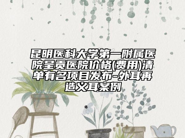 昆明医科大学第一附属医院呈贡医院价格(费用)清单有名项目发布-外耳再造义耳案例