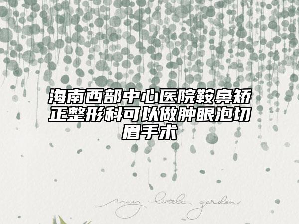海南西部中心医院鞍鼻矫正整形科可以做肿眼泡切眉手术