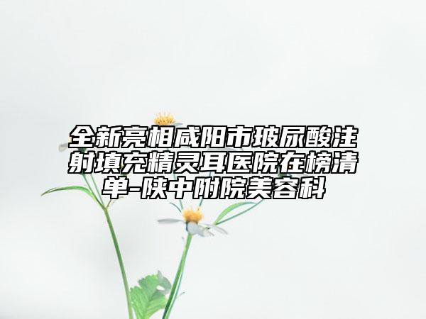 全新亮相咸阳市玻尿酸注射填充精灵耳医院在榜清单-陕中附院美容科