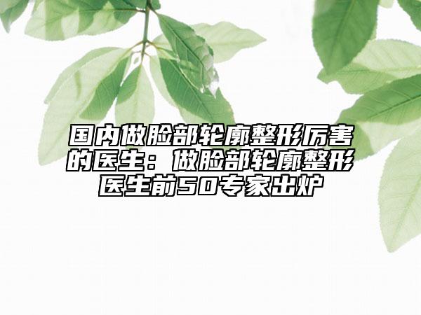 国内做脸部轮廓整形厉害的医生：做脸部轮廓整形医生前50专家出炉