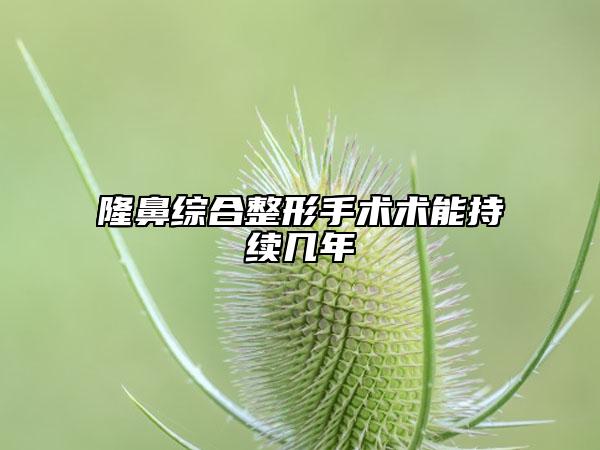 隆鼻综合整形手术术能持续几年