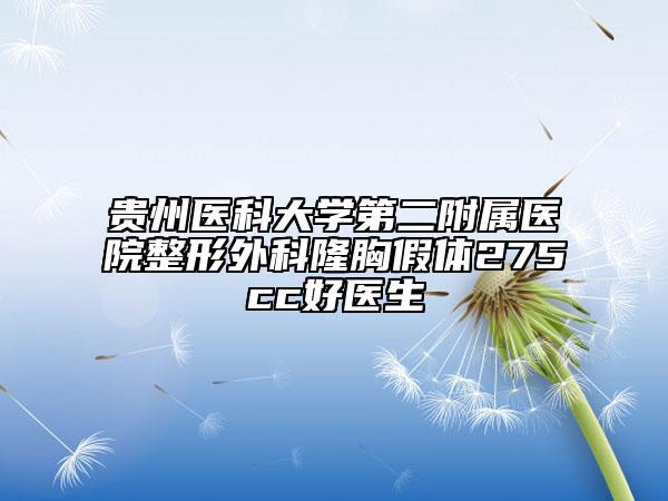 贵州医科大学第二附属医院整形外科隆胸假体275cc好医生