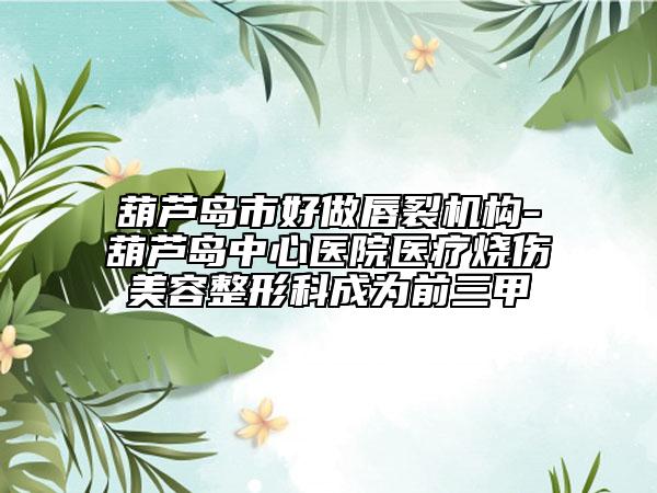 葫芦岛市好做唇裂机构-葫芦岛中心医院医疗烧伤美容整形科成为前三甲