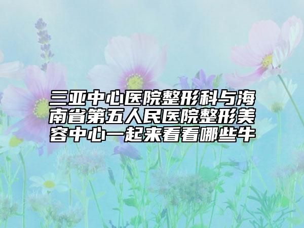三亚中心医院整形科与海南省第五人民医院整形美容中心一起来看看哪些牛