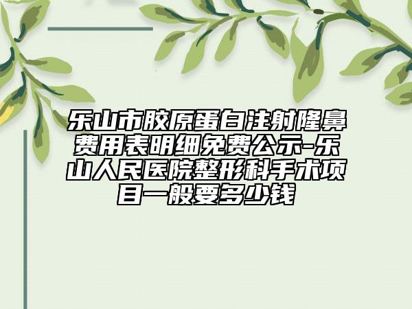 乐山市胶原蛋白注射隆鼻费用表明细免费公示-乐山人民医院整形科手术项目一般要多少钱