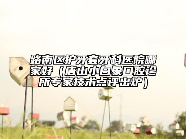 路南区护牙套牙科医院哪家好（唐山小白象口腔诊所专家技术点评出炉）