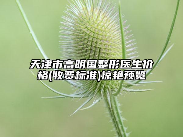 天津市高明国整形医生价格(收费标准)惊艳预览