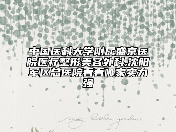 中国医科大学附属盛京医院医疗整形美容外科,沈阳军区总医院看看哪家实力强
