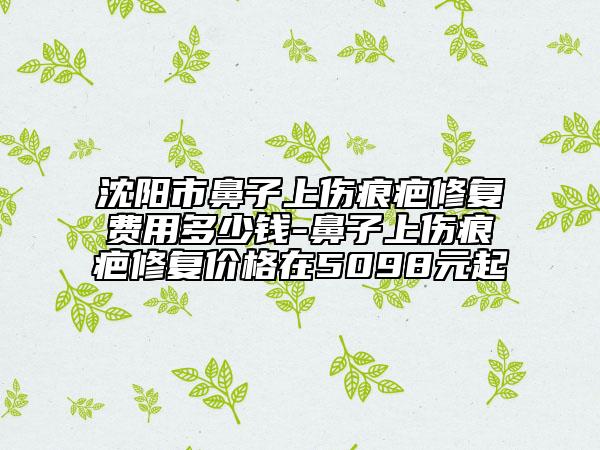 沈阳市鼻子上伤痕疤修复费用多少钱-鼻子上伤痕疤修复价格在5098元起