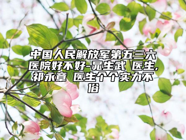 中国人民解放军第五三六医院好不好-晁生武‌医生,祁永章‌医生个个实力不俗