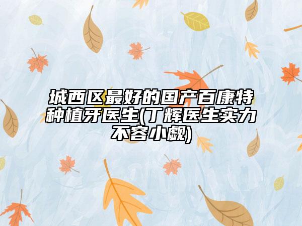 城西区最好的国产百康特种植牙医生(丁辉医生实力不容小觑)