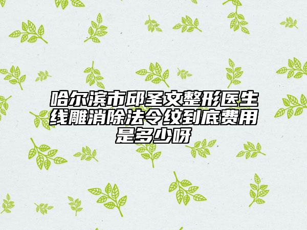 哈尔滨市邱圣文整形医生线雕消除法令纹到底费用是多少呀