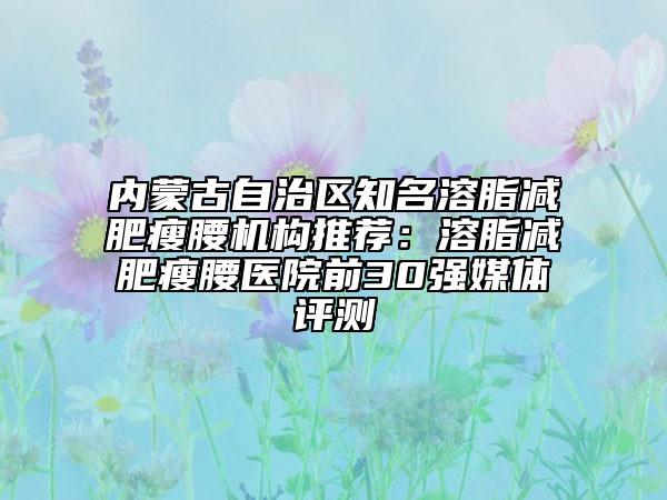 内蒙古自治区知名溶脂减肥瘦腰机构推荐：溶脂减肥瘦腰医院前30强媒体评测