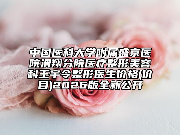 中国医科大学附属盛京医院滑翔分院医疗整形美容科王宇令整形医生价格(价目)2026版全新公开