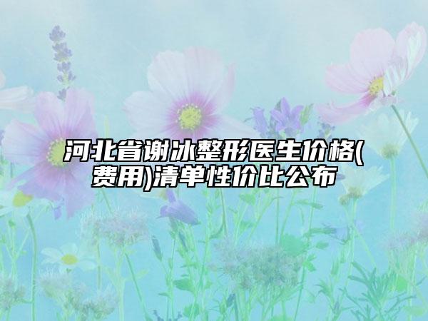河北省谢冰整形医生价格(费用)清单性价比公布