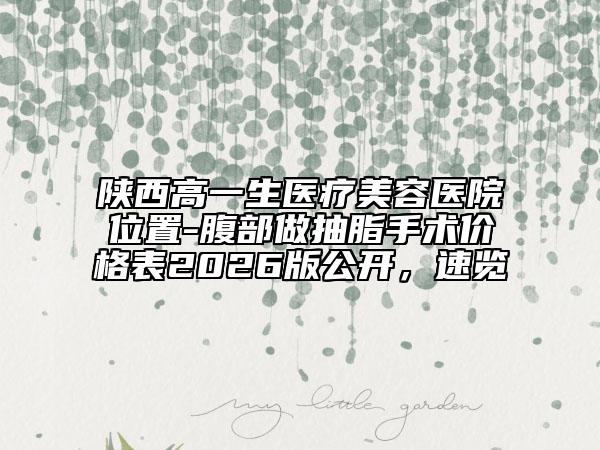 陕西高一生医疗美容医院位置-腹部做抽脂手术价格表2026版公开，速览