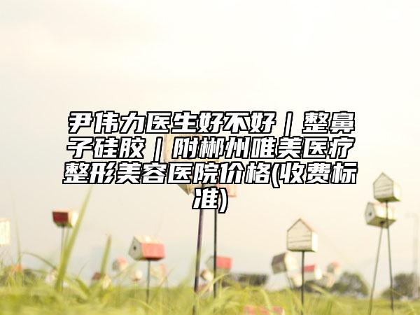 尹伟力医生好不好｜整鼻子硅胶｜附郴州唯美医疗整形美容医院价格(收费标准)