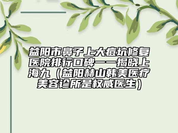 益阳市鼻子上大痘坑修复医院排行口碑一一揭晓上海九（益阳赫山韩美医疗美容诊所是权威医生）