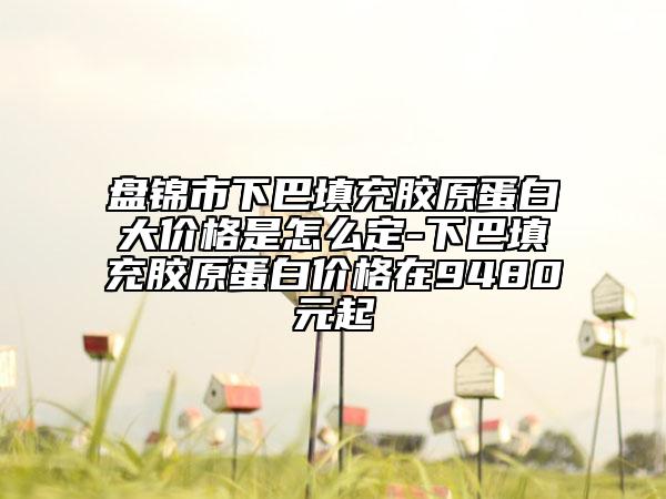 盘锦市下巴填充胶原蛋白大价格是怎么定-下巴填充胶原蛋白价格在9480元起