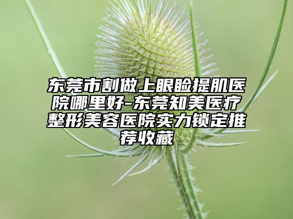 东莞市割做上眼睑提肌医院哪里好-东莞知美医疗整形美容医院实力锁定推荐收藏