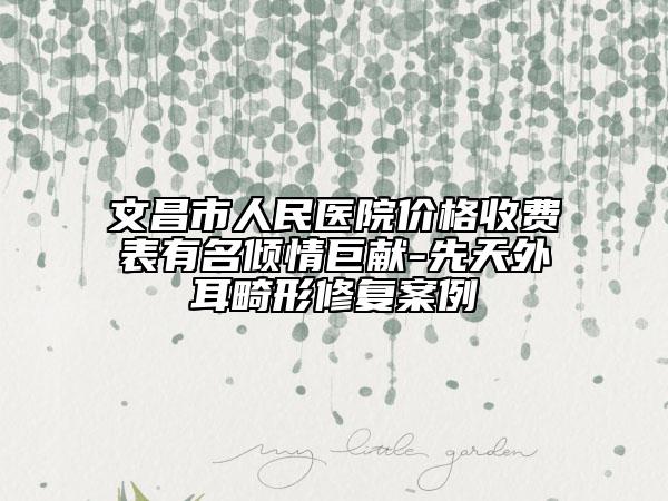 文昌市人民医院价格收费表有名倾情巨献-先天外耳畸形修复案例