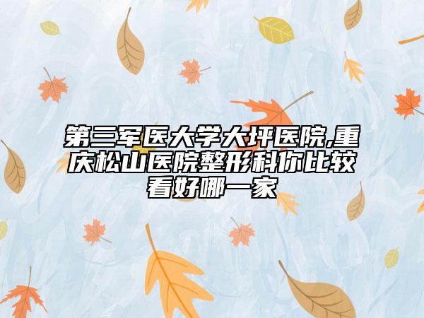 第三军医大学大坪医院,重庆松山医院整形科你比较看好哪一家