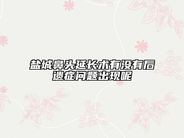 盐城鼻头延长术有没有后遗症问题出现呢