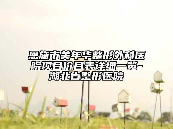 恩施市美年华整形外科医院项目价目表详细一览-湖北省整形医院