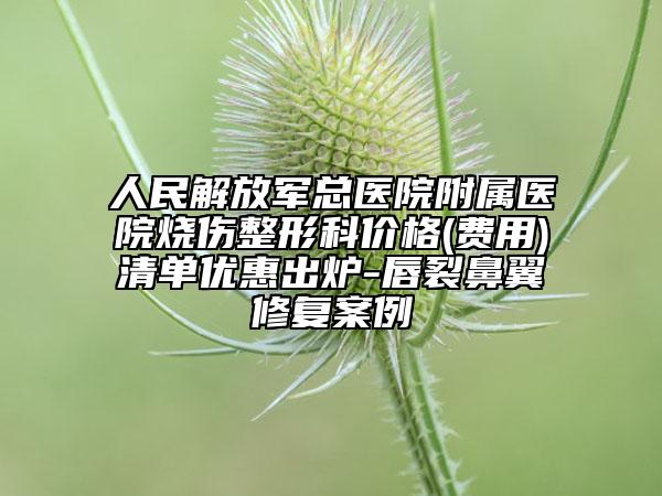 人民解放军总医院附属医院烧伤整形科价格(费用)清单优惠出炉-唇裂鼻翼修复案例