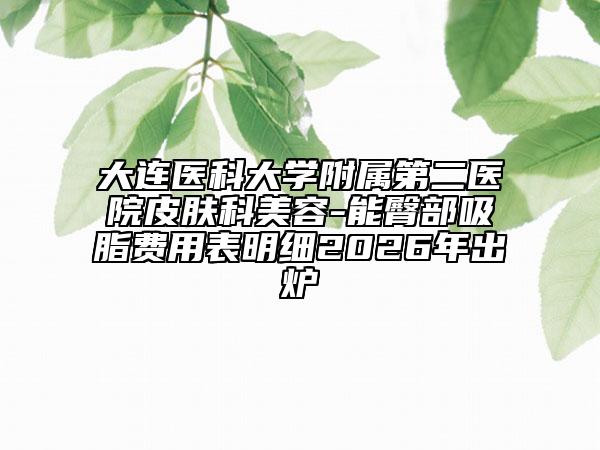 大连医科大学附属第二医院皮肤科美容-能臀部吸脂费用表明细2026年出炉