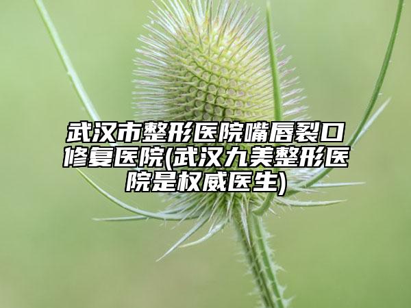武汉市整形医院嘴唇裂口修复医院(武汉九美整形医院是权威医生)