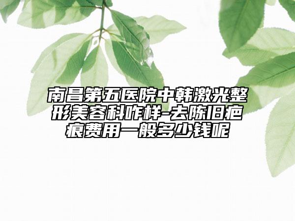 南昌第五医院中韩激光整形美容科咋样-去陈旧疤痕费用一般多少钱呢