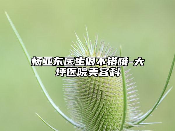 杨亚东医生很不错哦-大坪医院美容科