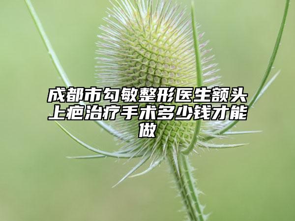 成都市勾敏整形医生额头上疤治疗手术多少钱才能做