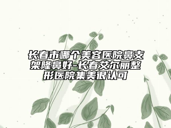 长春市哪个美容医院鼻支架隆鼻好-长春艾尔丽整形医院集美很认可