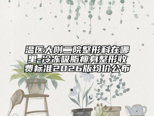 温医大附二院整形科在哪里-冷冻吸脂瘦身整形收费标准2026版均价公布