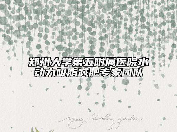 郑州大学第五附属医院水动力吸脂减肥专家团队
