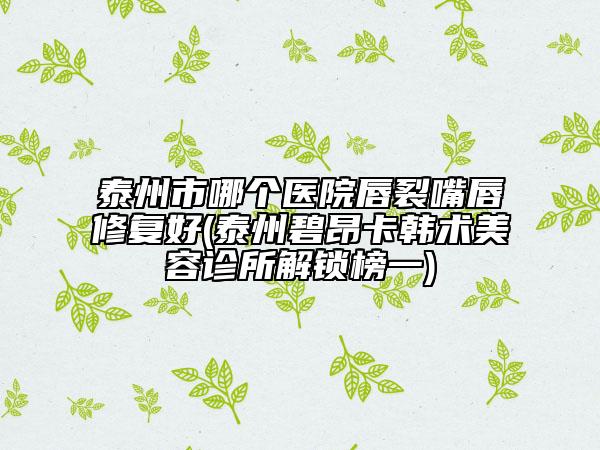 泰州市哪个医院唇裂嘴唇修复好(泰州碧昂卡韩术美容诊所解锁榜一)