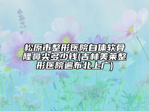 松原市整形医院自体软骨隆鼻尖多少钱(吉林美莱整形医院遍布北上广)