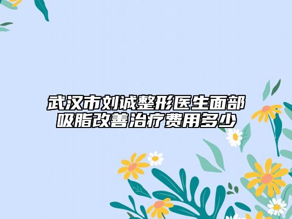 武汉市刘诚整形医生面部吸脂改善治疗费用多少