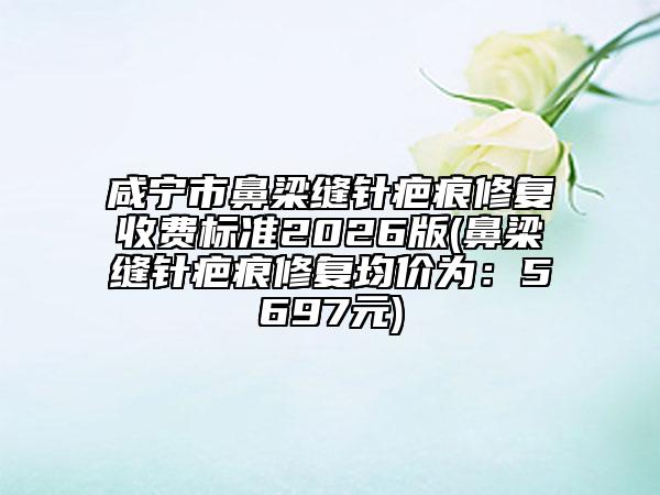 咸宁市鼻梁缝针疤痕修复收费标准2026版(鼻梁缝针疤痕修复均价为：5697元)