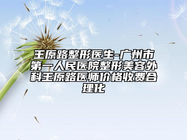 王原路整形医生-广州市第一人民医院整形美容外科王原路医师价格收费合理化