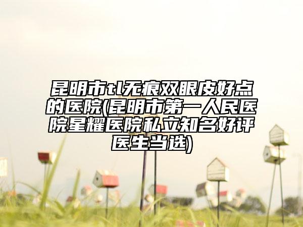 昆明市tl无痕双眼皮好点的医院(昆明市第一人民医院星耀医院私立知名好评医生当选)