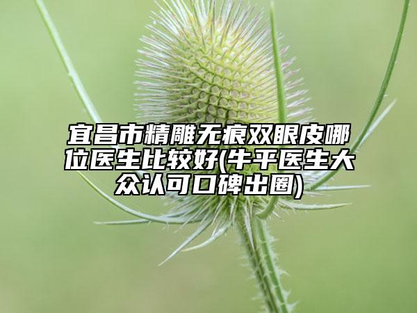 宜昌市精雕无痕双眼皮哪位医生比较好(牛平医生大众认可口碑出圈)