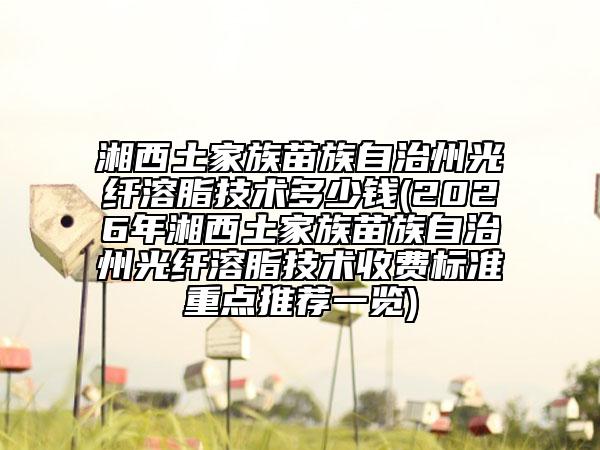 湘西土家族苗族自治州光纤溶脂技术多少钱(2026年湘西土家族苗族自治州光纤溶脂技术收费标准重点推荐一览)